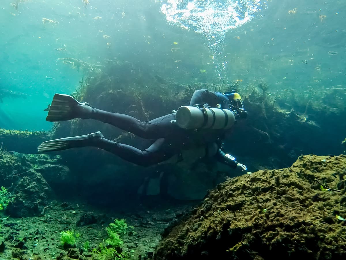 Escuelas de buceo en A Coruña